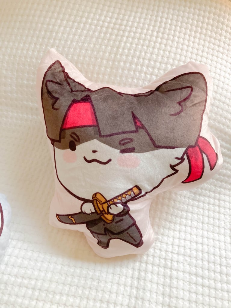 dgs throw pillow cover