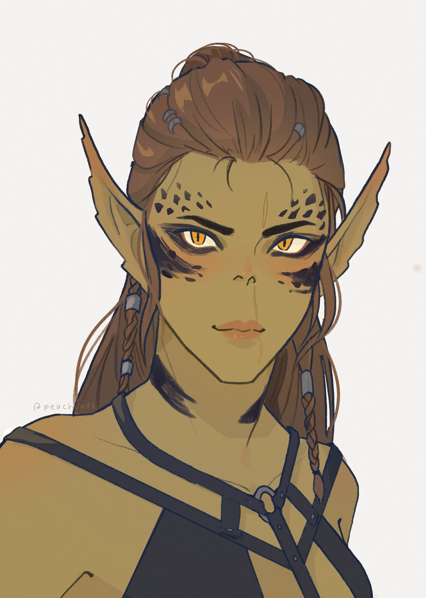 bg3 portrait prints