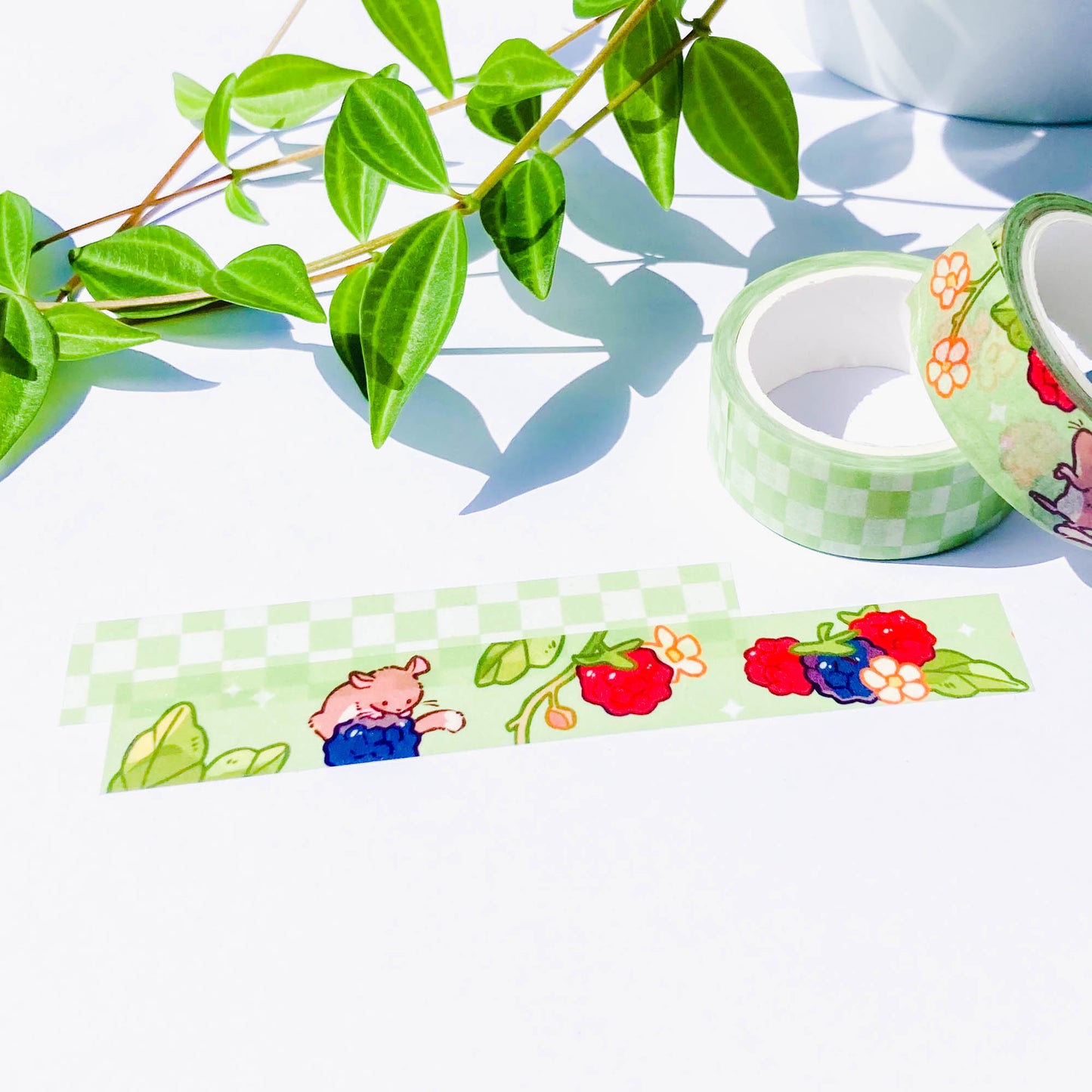 raspberry washi