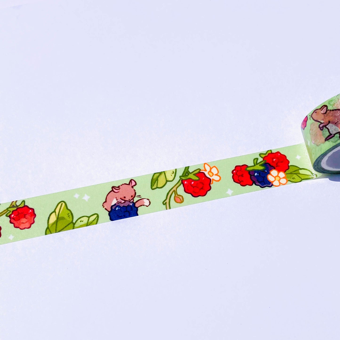 raspberry washi