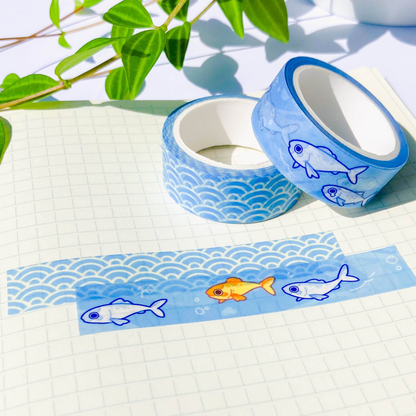 sardines washi