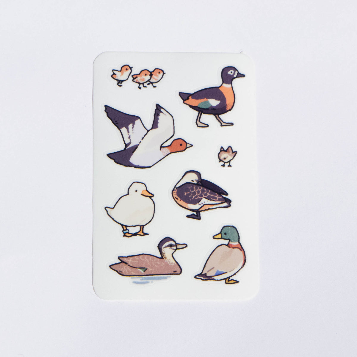 australian birdies mini stickersheets